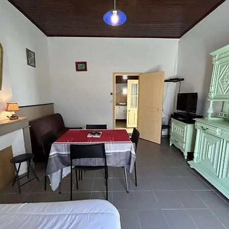 Tatil Evi Maison De 2 Pieces A 100m - - Fr-1-224c-343 *
